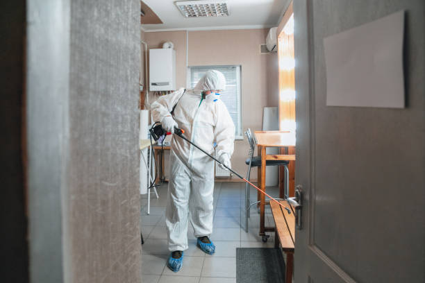 Best Attic Mold Removal  in Albany, OR
